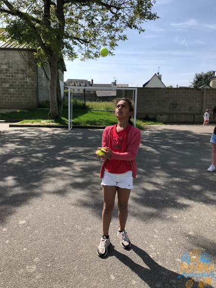 IMG 0278