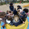 IMG 3385