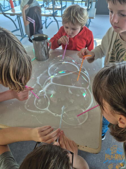 signal-2026-02-27-135636 018