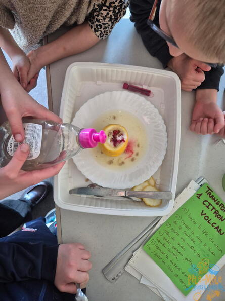 signal-2026-02-27-135636 020