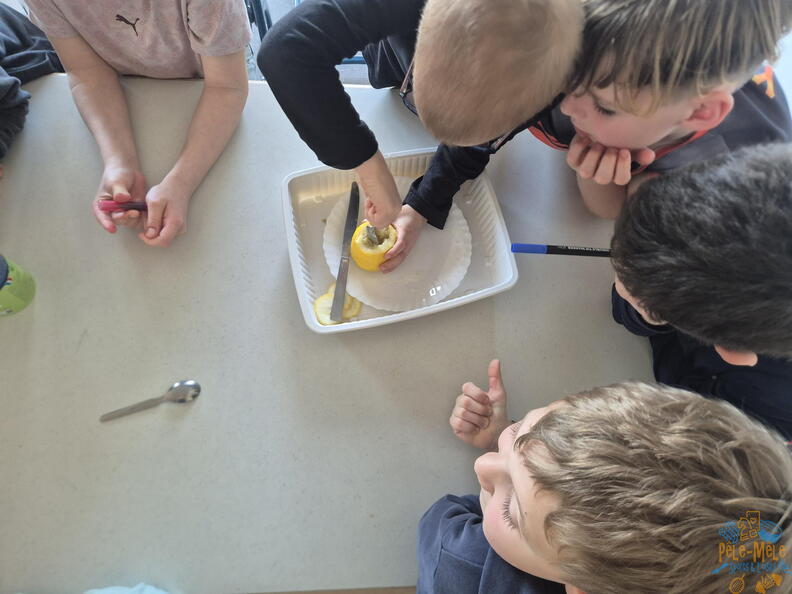 signal-2026-02-27-135636 021